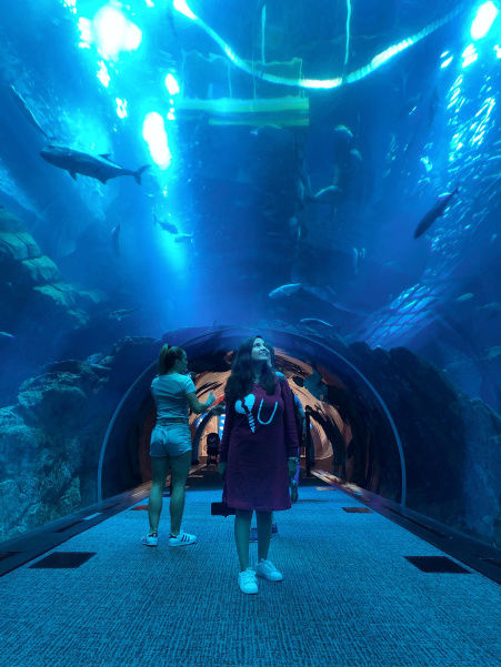 Photo of Dubai Aquarium & Underwater Zoo - Dubai - United Arab Emirates by Neha Kadam