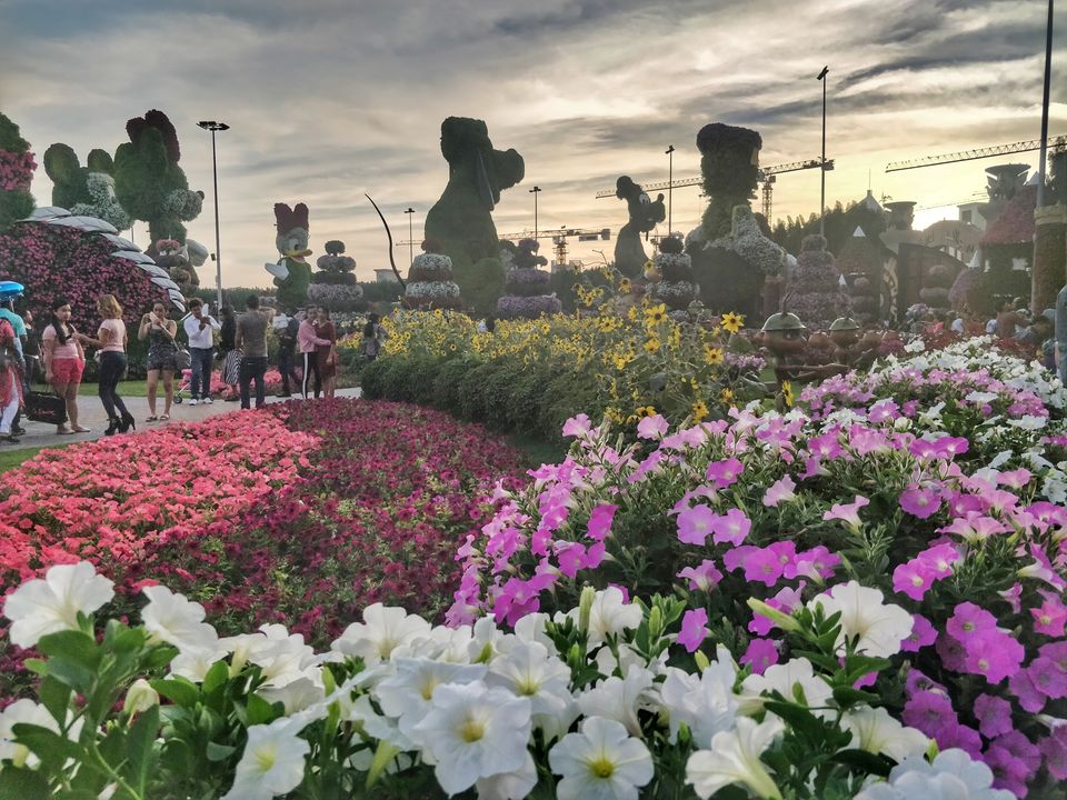 Photo of Miracle Garden - Dubai - United Arab Emirates by Neha Kadam