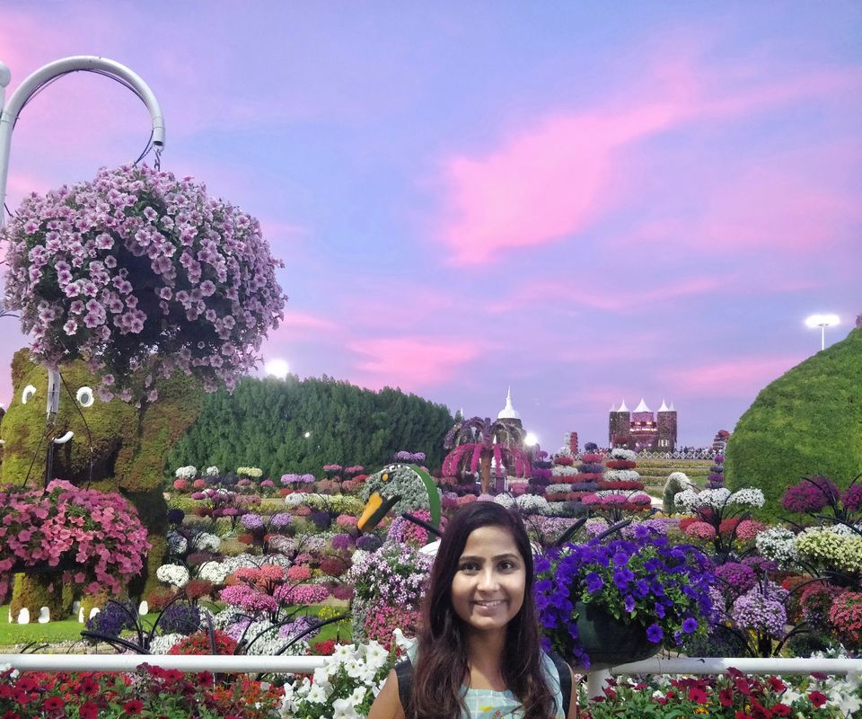 Photo of Miracle Garden - Dubai - United Arab Emirates by Neha Kadam