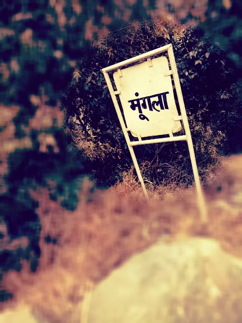 Photo of Nagini, Himachal Pradesh, India by Priyanka (Seeker)