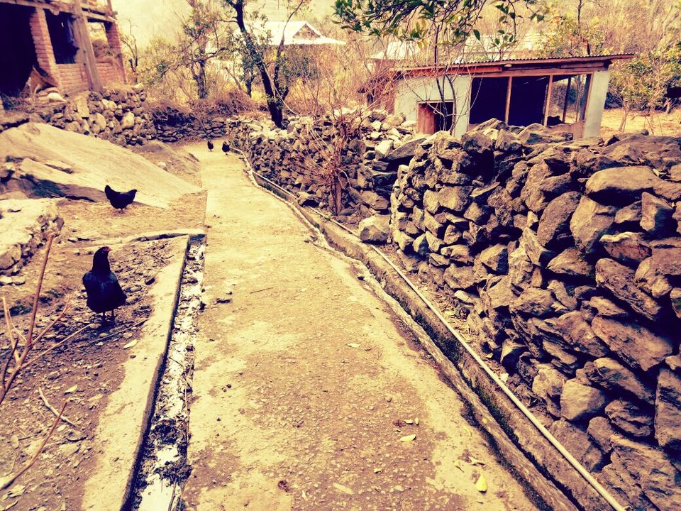 Photo of #BestOfTravel A Secluded Land “Tirthan Valley” (Part-1) by Priyanka (Seeker)