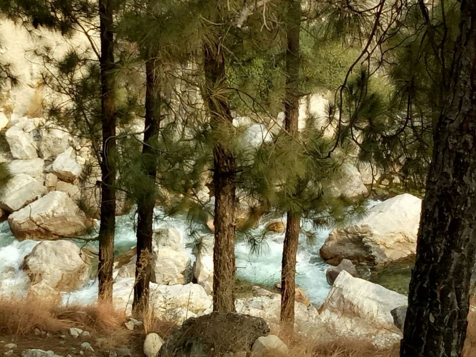 Photo of #BestOfTravel A Secluded Land “Tirthan Valley” (Part-1) by Priyanka (Seeker)