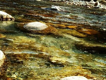 Photo of A Secluded Land “Tirthan Valley” (Part-2) 7/10 by Priyanka (Seeker)