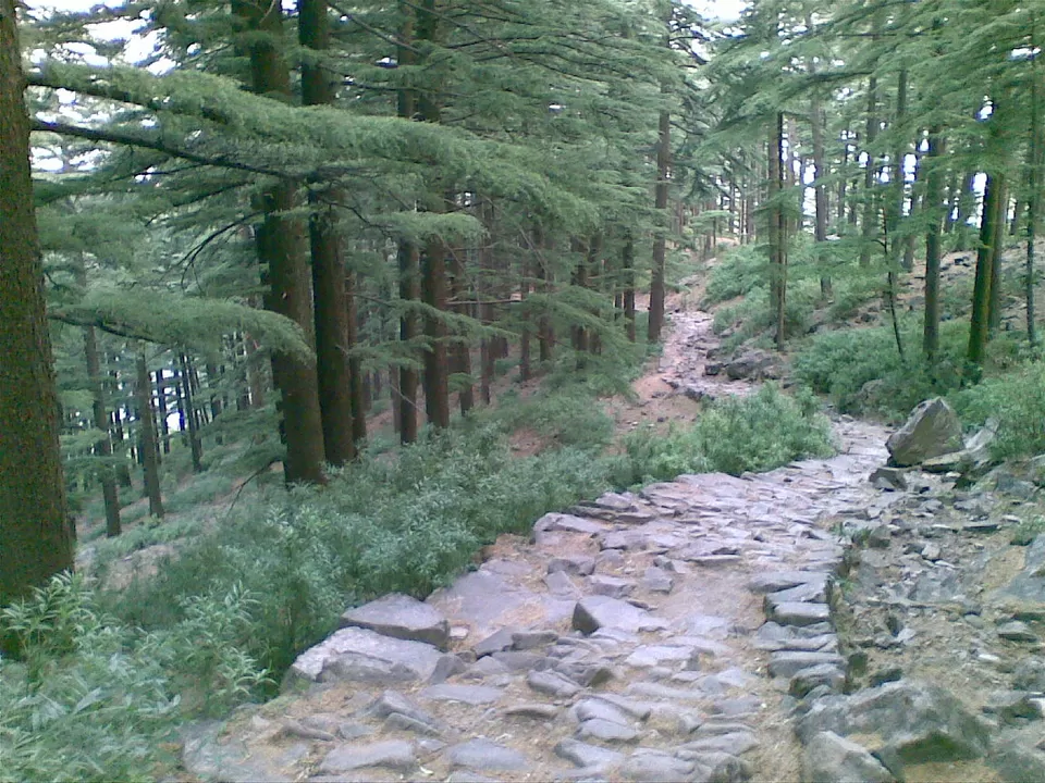Photo of Triund: Amazing Trek, Hypnotic Panorama & A Pleasant Surprise by Yattin Rana