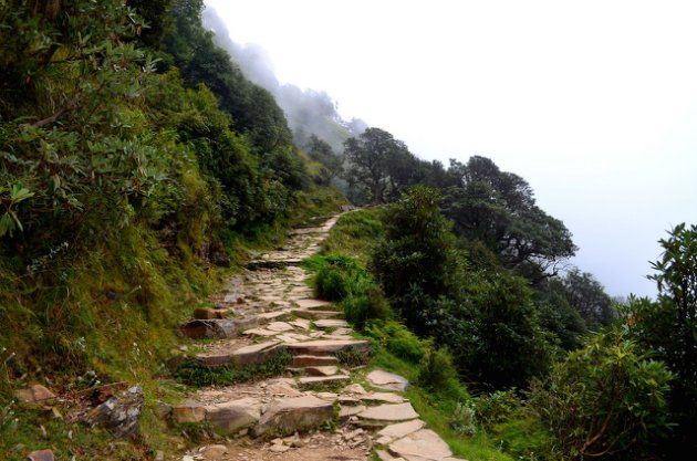 Photo of Triund: Amazing Trek, Hypnotic Panorama & A Pleasant Surprise by Yattin Rana