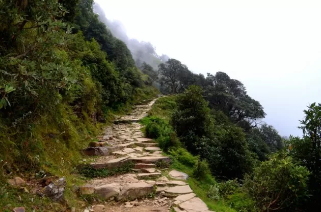 Photo of Triund: Amazing Trek, Hypnotic Panorama & A Pleasant Surprise by Yattin Rana