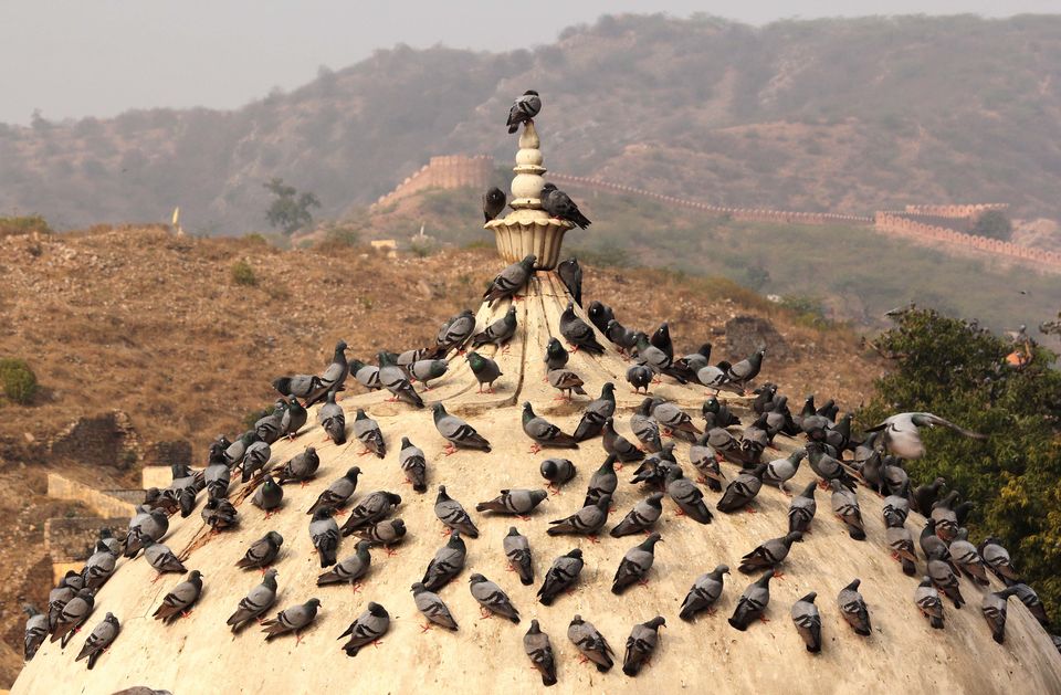 Photo of Rajasthan: When you are short on Time and Money! by Abhishek Awasthi