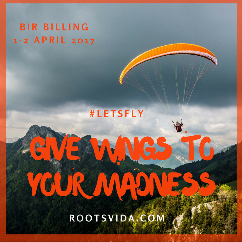 Photo of LET’S FLY - BIR BILLING 2/3 by Roots