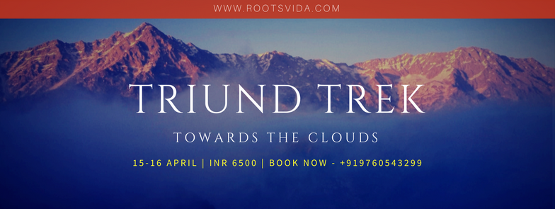 Photo of Triund Trek - Towards the Clouds 1/1 by Roots