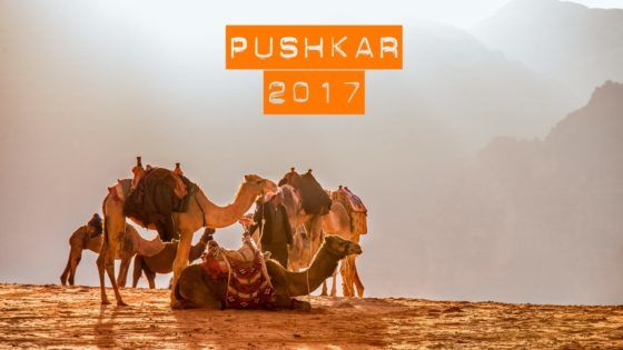 Photo of C.A.M.E.L. L.A.N.D (PUSHKAR) - From Our Eyes | Rootsvida 1/1 by Roots