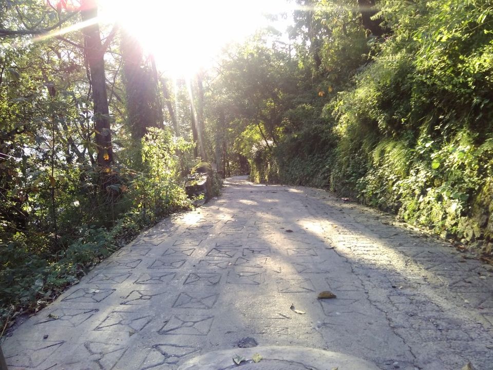 Photo of When in Nainital - Eat, Walk and Stare at Lake | Rootsvida 2/5 by Roots