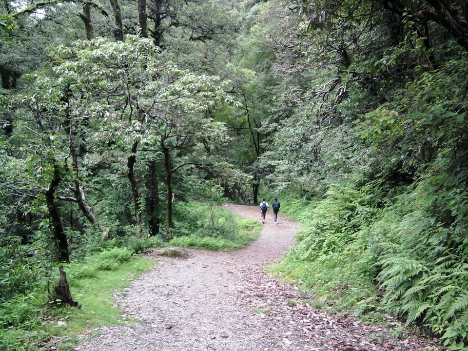 Photo of When in Nainital - Eat, Walk and Stare at Lake | Rootsvida 4/5 by Roots