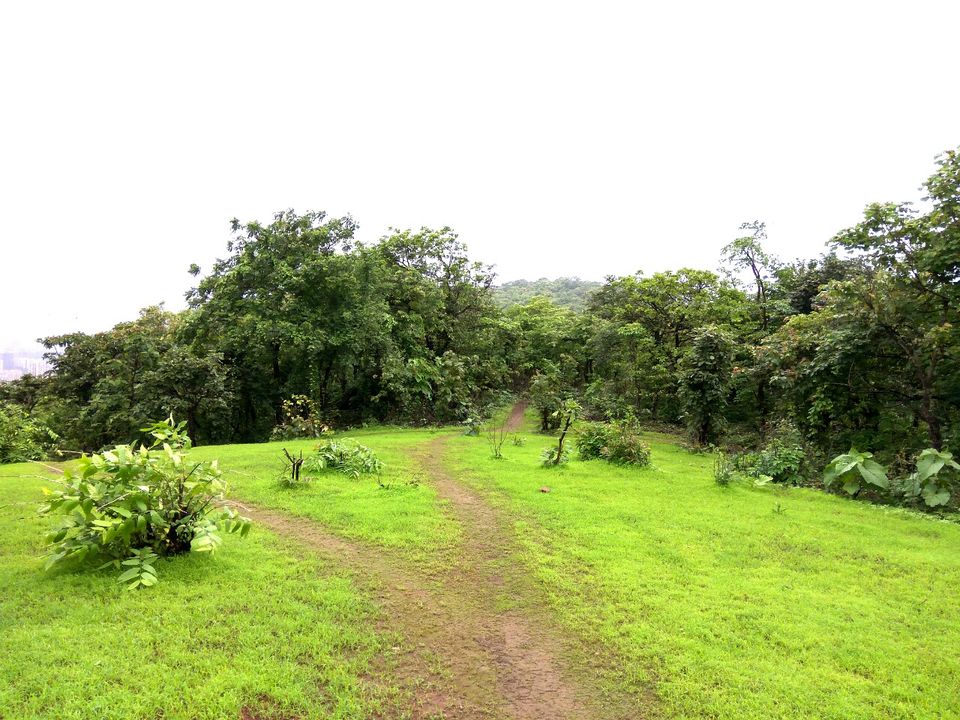 Photo of Sanjay Gandhi National park - An adventure in the City. 1/3 by Hozefa Rangwala
