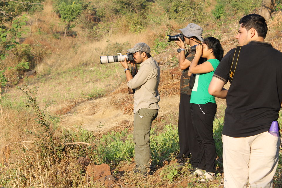 Photo of Sanjay Gandhi National park - An adventure in the City. 2/3 by Hozefa Rangwala