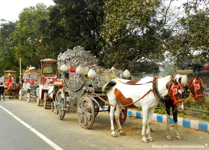 Photo of Victoria Memorial Hall - Kolkata Walking Tour 6/7 by Moon Roy