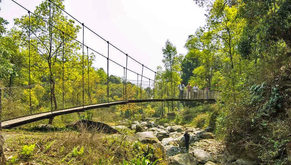 Photo of Enchanting North Bengal by Vaswati