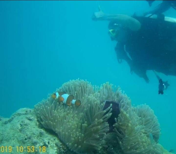 Photo of Andaman & Nicobar Island - My First Ever Visit To An Island by Vaswati