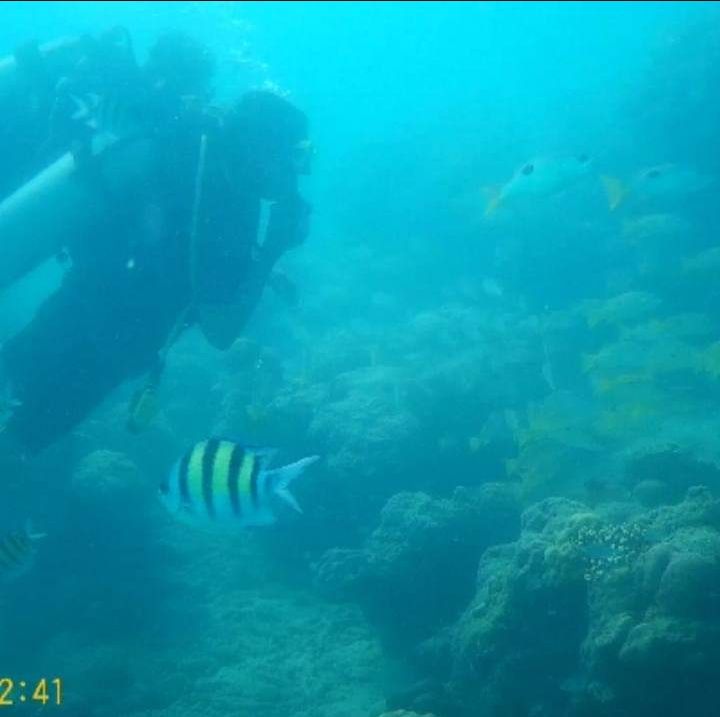 Photo of Andaman & Nicobar Island - My First Ever Visit To An Island by Vaswati