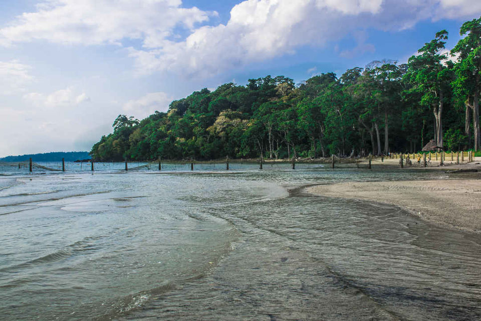 Photo of A day trip to Mahatma Gandhi Marine National Park and Chidiyatapu, Port Blair, A & N Island by Vaswati