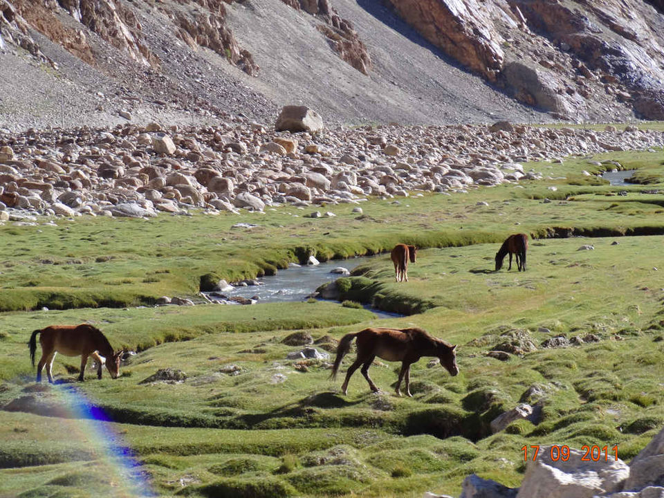 Photo of Reminiscing the Experience of Undertaking the Ultimate Road Trip in India: Leh - Pangong Tso by Vaswati