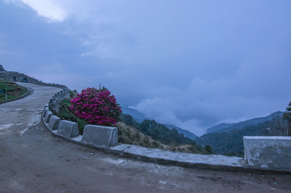 Photo of Sandakphu Safari - The Highest Peak of West Bengal, by 4 Wheeler by Vaswati
