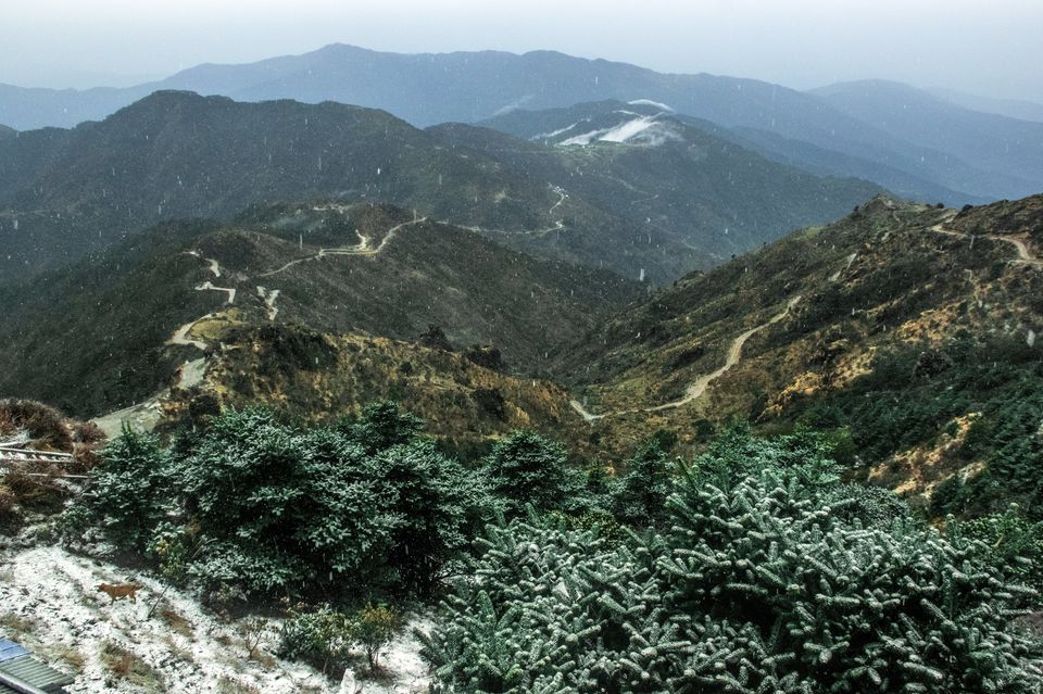 Photo of Sandakphu Safari - The Highest Peak of West Bengal, by 4 Wheeler by Vaswati