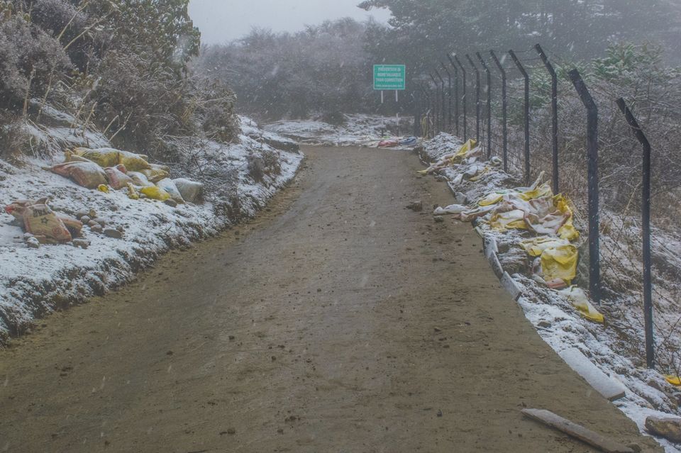 Photo of Sandakphu Safari - The Highest Peak of West Bengal, by 4 Wheeler by Vaswati