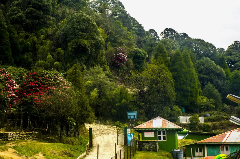 Photo of Gairibas, West Bengal, India by Vaswati