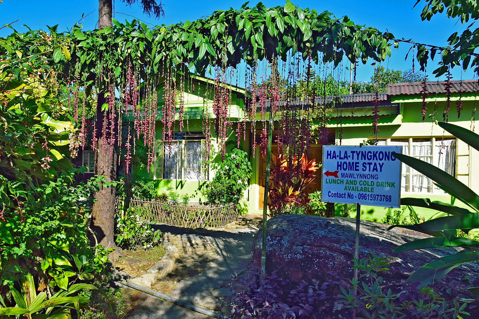 Photo of The Cleanest Village in Asia, Should be a Must Visit Place on Your Next Trip by Vaswati