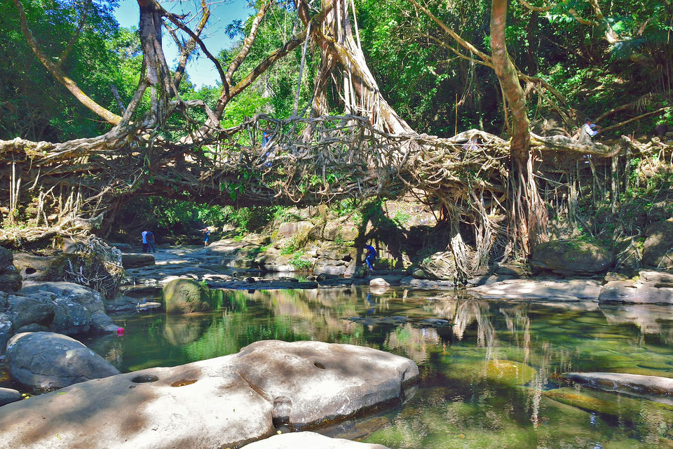 Photo of The Cleanest Village in Asia, Should be a Must Visit Place on Your Next Trip by Vaswati