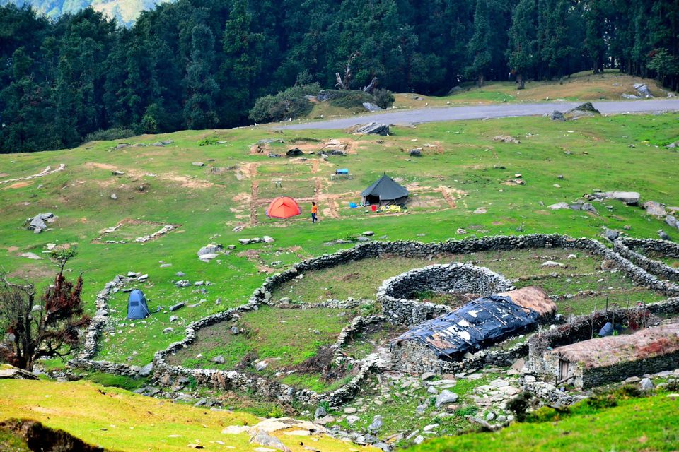 Photo of Chopta, Uttarakhand, India by Vaswati