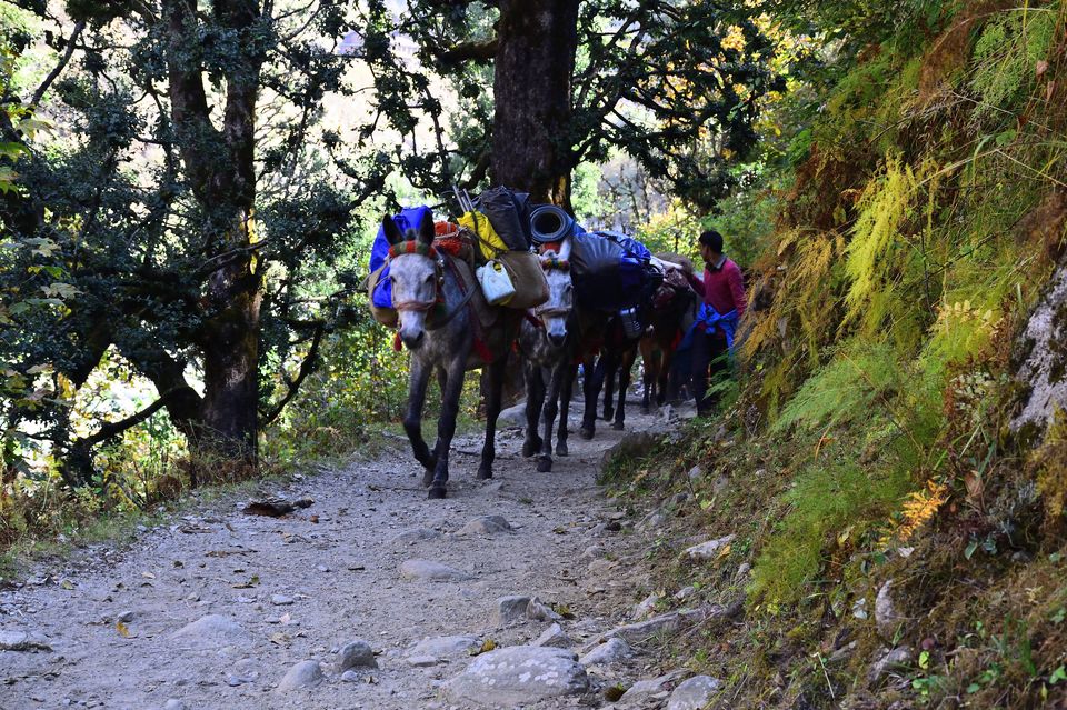 Photo of This Trek Takes You to The "Valley of God" by Vaswati
