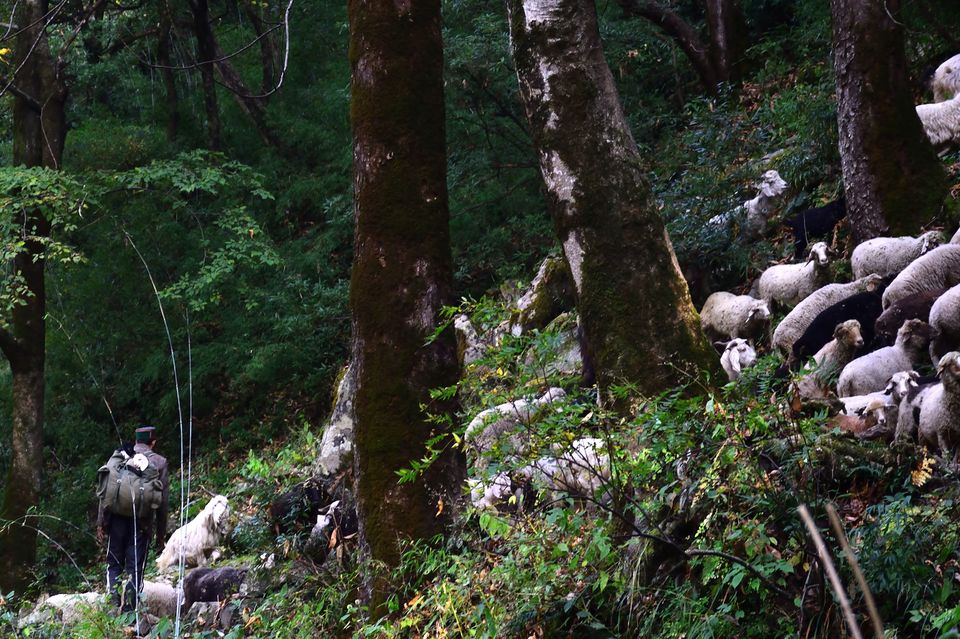 Photo of This Trek Takes You to The "Valley of God" by Vaswati