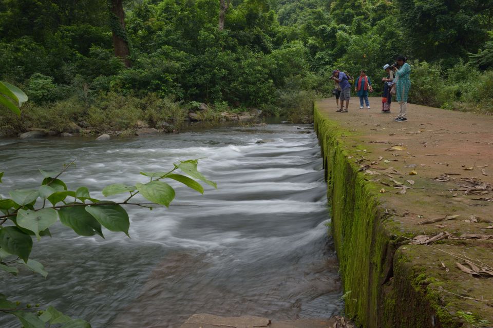 Photo of Nilgiri - A Perfect Monsoon Getaway 8/17 by Vaswati