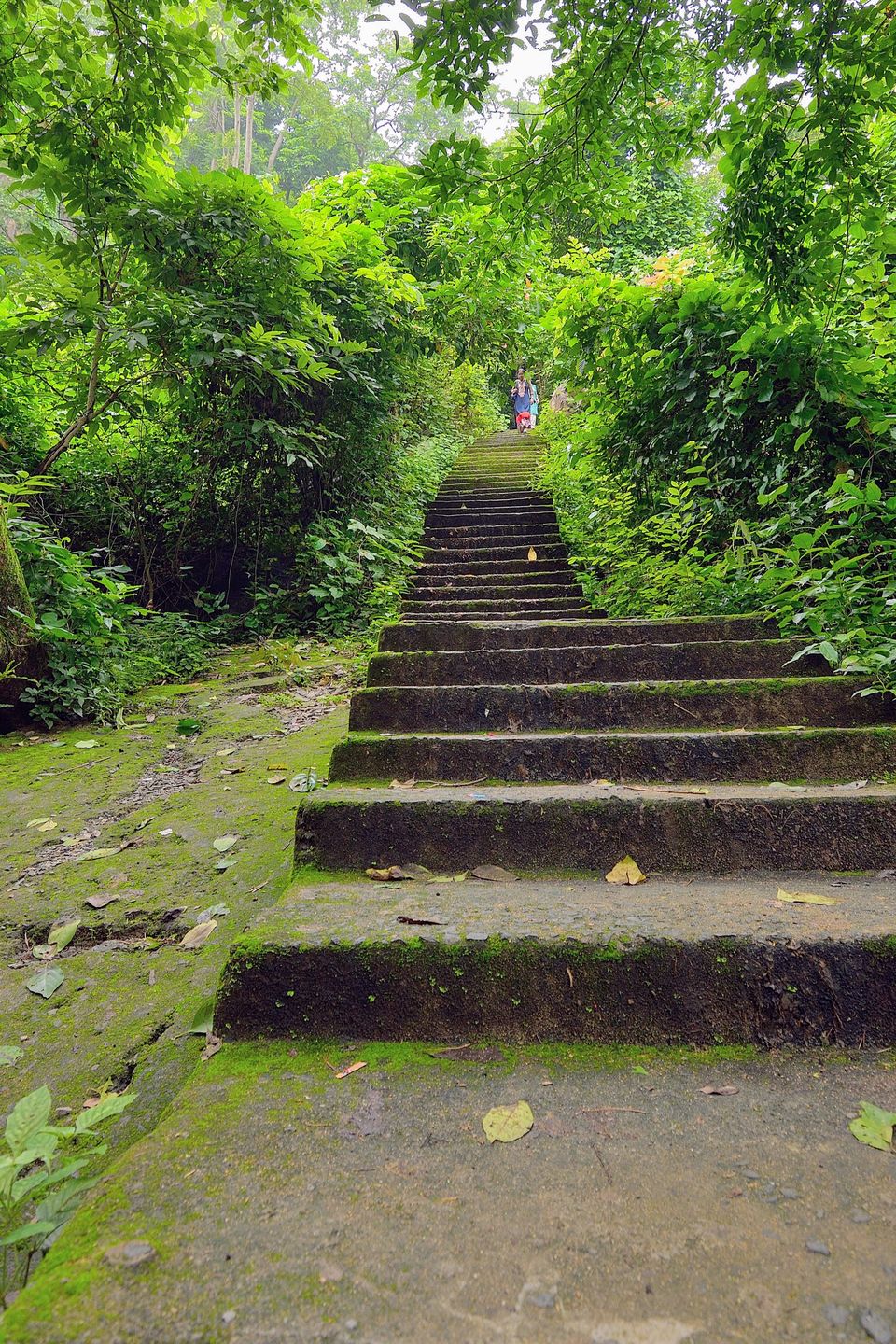 Photo of Nilgiri - A Perfect Monsoon Getaway 12/17 by Vaswati