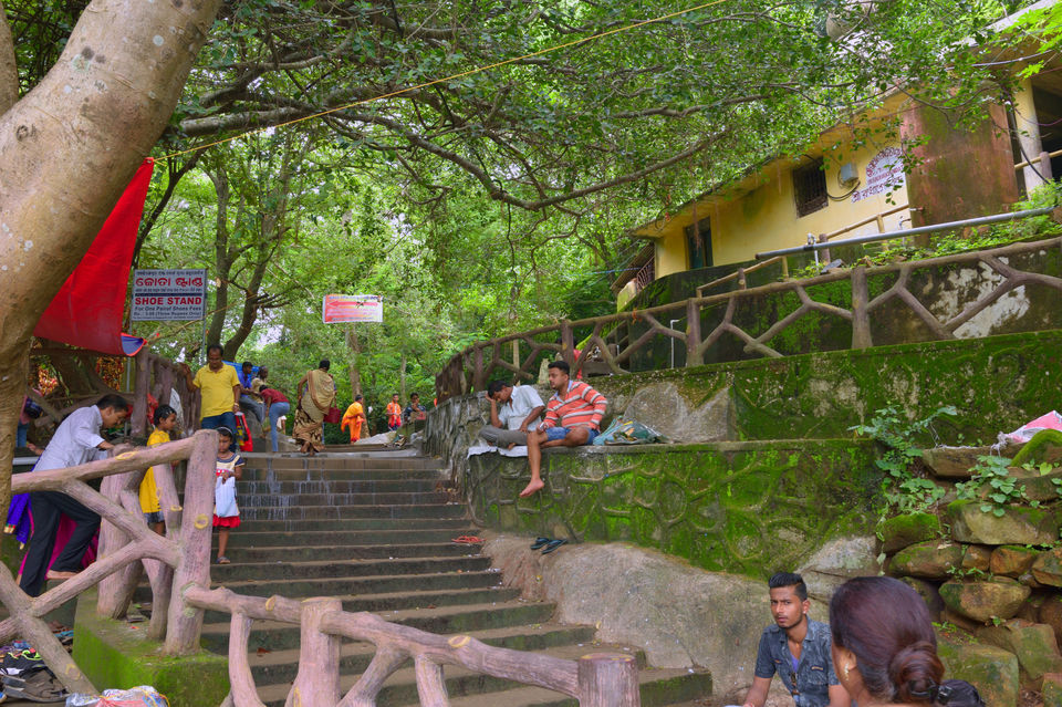 Photo of Nilgiri - A Perfect Monsoon Getaway 15/17 by Vaswati