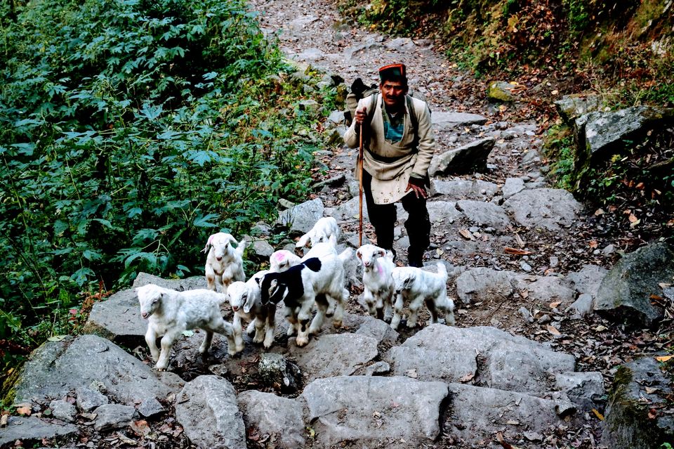 Photo of This Trek Takes You to The "Valley of God" by Vaswati
