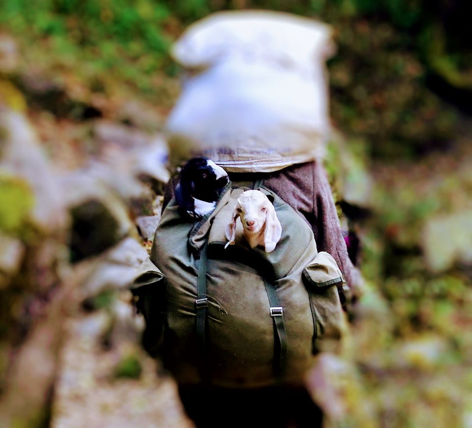 Photo of This Trek Takes You to The "Valley of God" by Vaswati