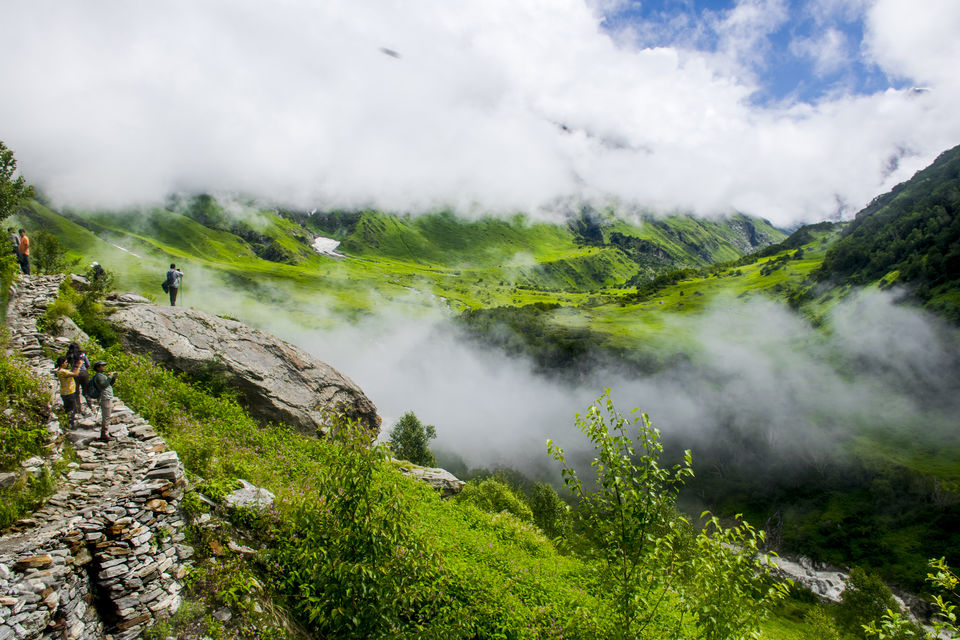 Photo of Valley of Flowers and Hemkund Saheb Trek With INDIAHIKES 29/78 by Vaswati