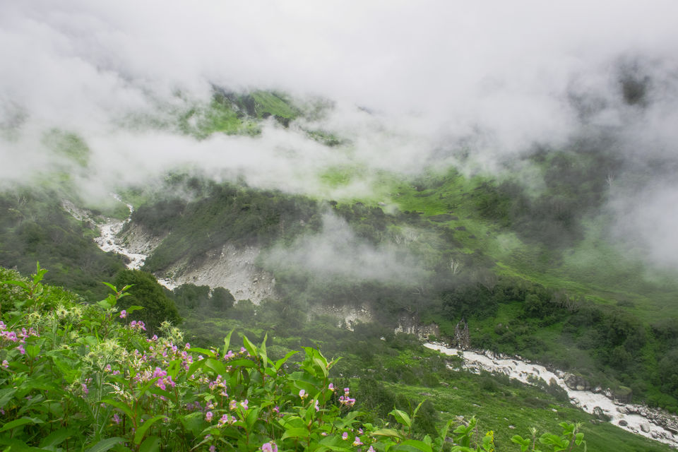 Photo of Valley of Flowers and Hemkund Saheb Trek With INDIAHIKES 31/78 by Vaswati