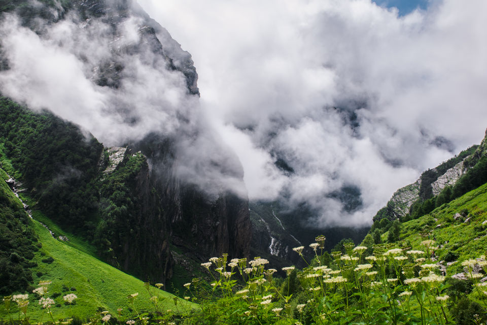 Photo of Valley of Flowers and Hemkund Saheb Trek With INDIAHIKES 47/78 by Vaswati