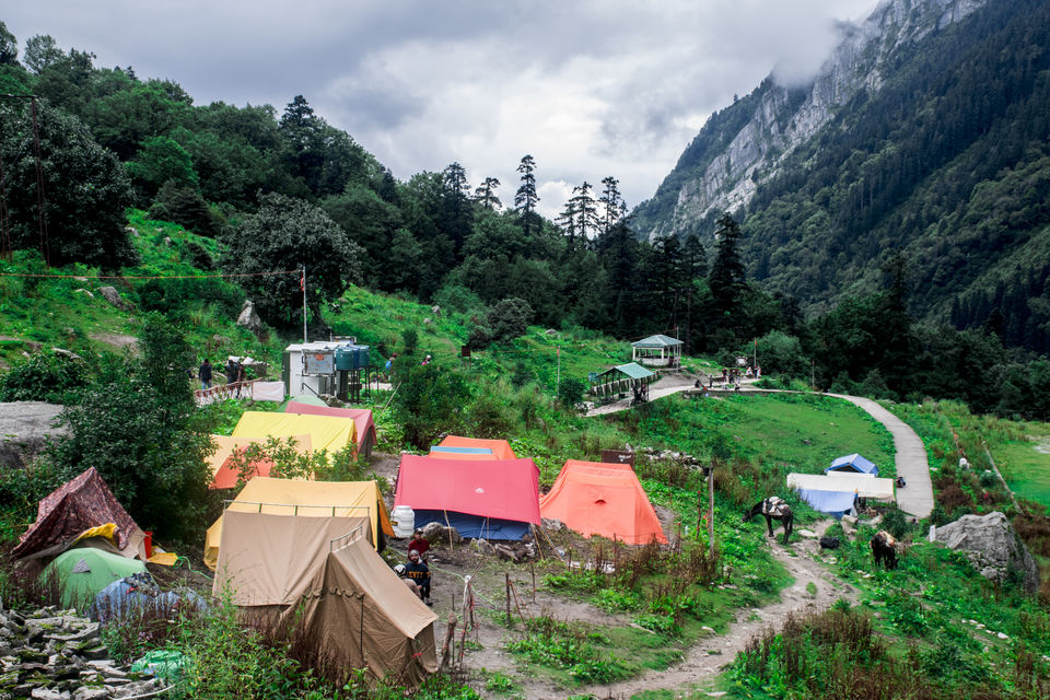 Photo of Valley of Flowers and Hemkund Saheb Trek With INDIAHIKES 18/78 by Vaswati