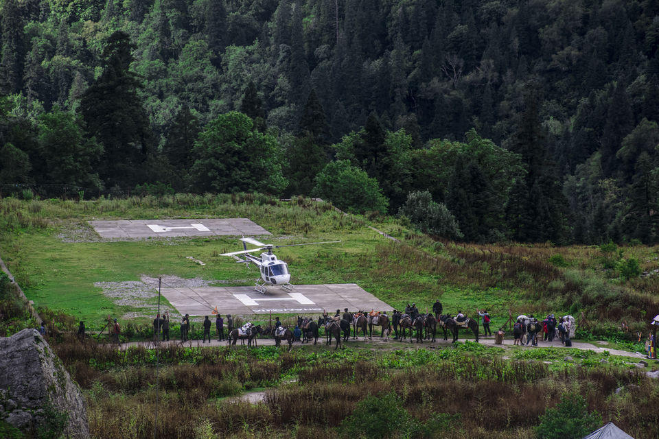 Photo of Valley of Flowers and Hemkund Saheb Trek With INDIAHIKES 19/78 by Vaswati