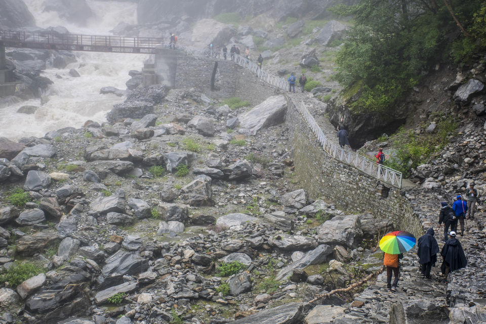 Photo of Valley of Flowers and Hemkund Saheb Trek With INDIAHIKES 26/78 by Vaswati