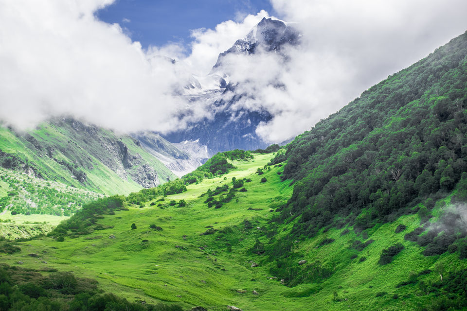 Photo of Valley of Flowers and Hemkund Saheb Trek With INDIAHIKES 30/78 by Vaswati