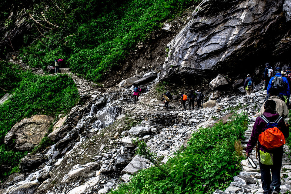 Photo of Valley of Flowers and Hemkund Saheb Trek With INDIAHIKES 32/78 by Vaswati