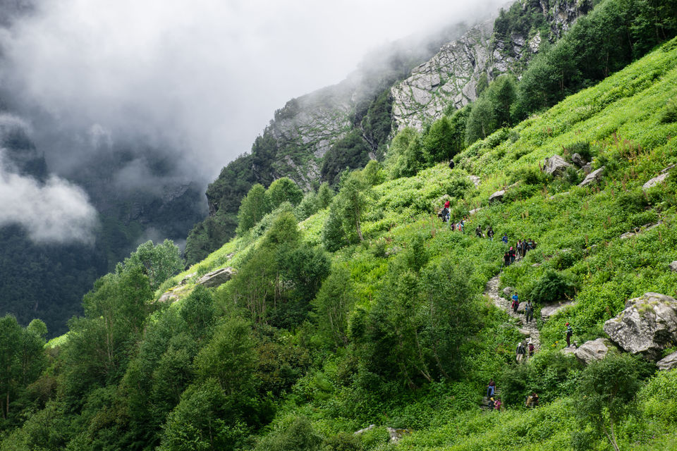 Photo of Valley of Flowers and Hemkund Saheb Trek With INDIAHIKES 33/78 by Vaswati