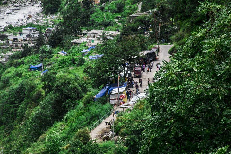 Photo of Valley of Flowers and Hemkund Saheb Trek With INDIAHIKES 7/78 by Vaswati