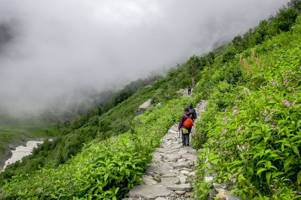 Photo of Valley of Flowers and Hemkund Saheb Trek With INDIAHIKES 56/78 by Vaswati
