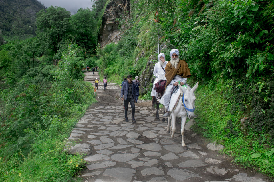 Photo of Valley of Flowers and Hemkund Saheb Trek With INDIAHIKES 11/78 by Vaswati